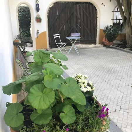 Guest house O Patio *