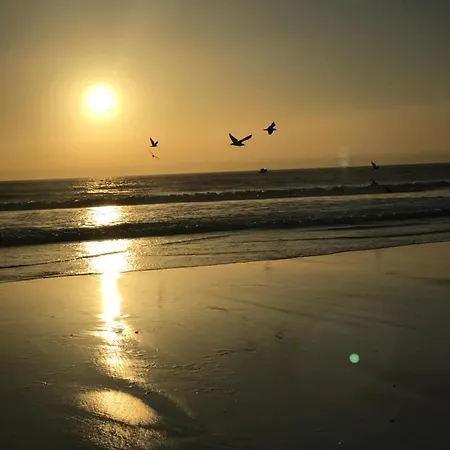 O Patio Fernão Ferro